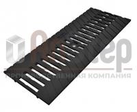 Решетка чугунная щелевая Plus 100 C250